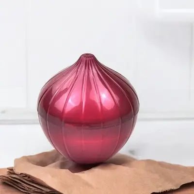 Boite de Conservation Alimentaire - VeggieKeeper™ - Oignon - Ma maison organisée
